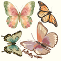 Butterfly SZN Custom Fabric